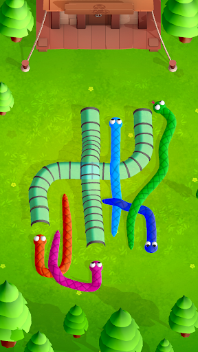 Tangled Snakes - Sort Puzzle Screen 2