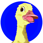 Ducker Adventure