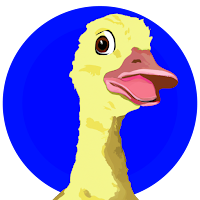 Ducker Adventure