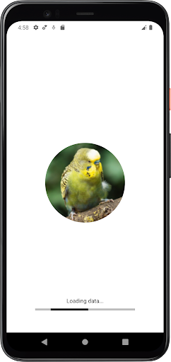 Android application Budgerigar Sounds screenshort