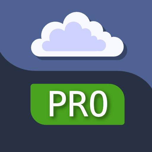 WebDAV FS Server Pro logo