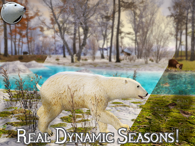 Polar Bear Simulator 2 v3.0 MOD (Unlimited money) APK