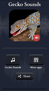 Imágen 2 sonidos de gecko android