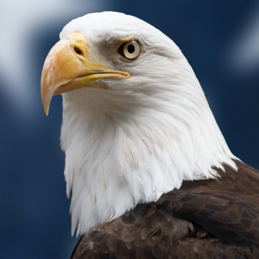 Eagle Sounds icon