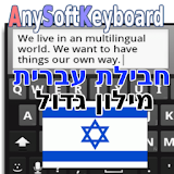 Hebrew with Large Dictionary icon