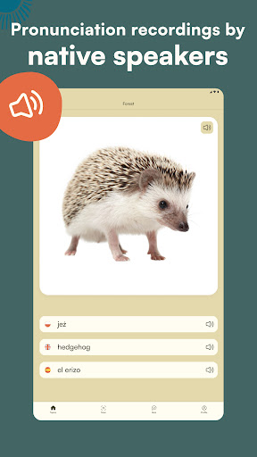 My First 500 Words screenshot 10