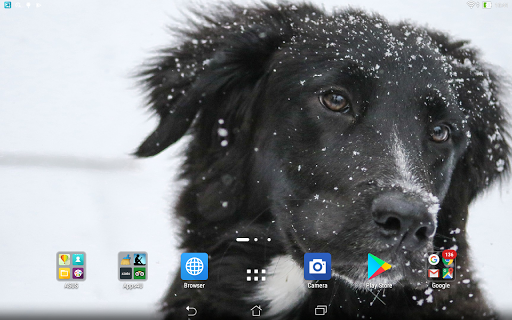 Labrador retrievers live wallp Screen 3