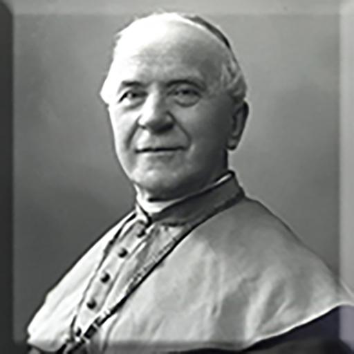 Sanktuarium Św. J. S. Pelczara logo