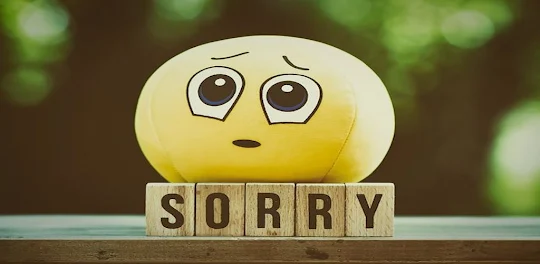 Sorry Greeting Card Collection