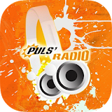 Puls Radio icon