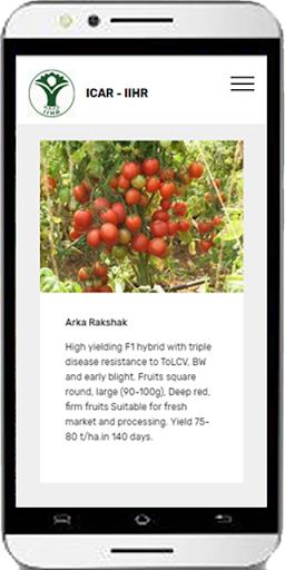 Tomato Cultivation IIHR Screen 2