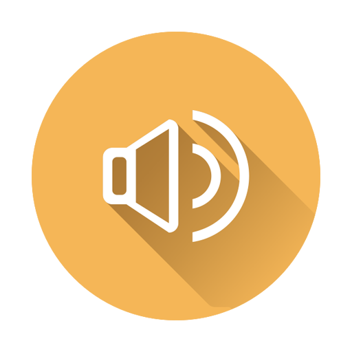 Easy Volume Control logo