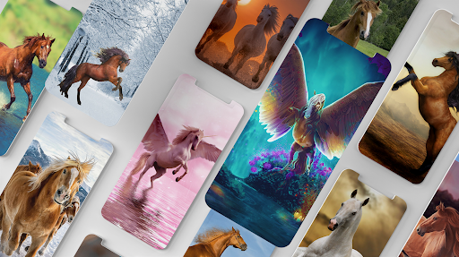 Screenshot of Horse Wallpapers 4K - HD