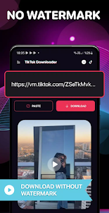 TmateTik - TT Video Downloader