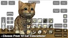 screenshot of Cat Mannequin