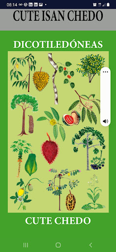 Taxonomía de Plantas Matsés Screen 3