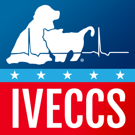 2019 IVECCS logo