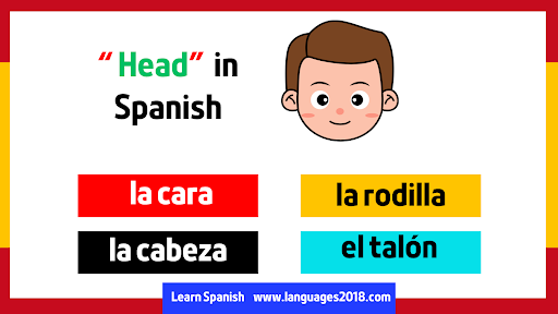 Android application Learn Spanish - español screenshort
