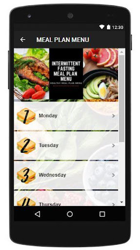 INTERMITTENT FASTING MEAL PLAN Screen 3