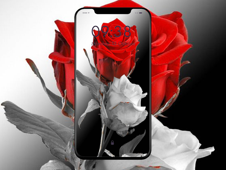 Beautiful Rose Wallpapers - 5.0 - (Android)