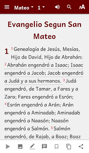 Español BDA Bible Screen 2
