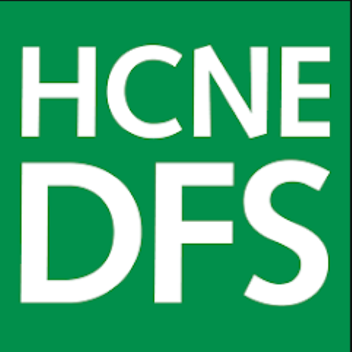 HCNE DFS Heidelbergcement NE logo