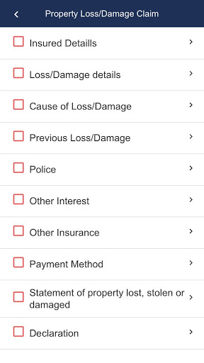 F&I - Insureco Screen 3