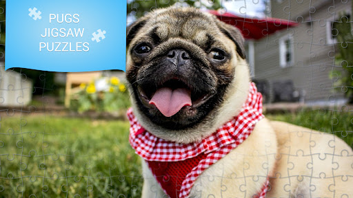 Android application Pugs jigsaw puzzles games screenshort