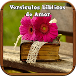 Cover Image of Download Versículos Bíblicos de Amor  APK