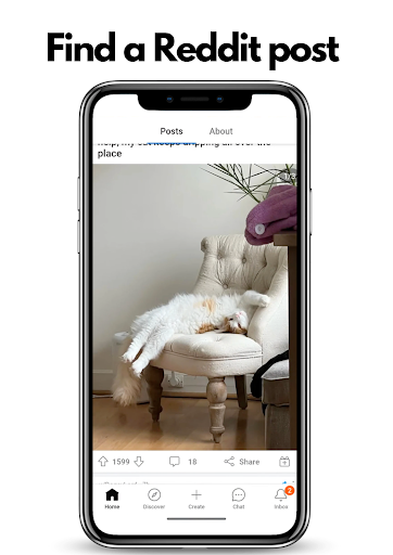 Windborn - Reddit Share & Copy Screenshot