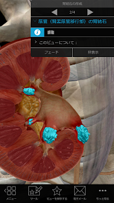 生理学と病理学：生体プロセスと疾患 - Google Play のアプリ