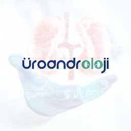 Icon image Üroandroloji