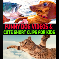 cute dog videos  Funny cat short videos for kids