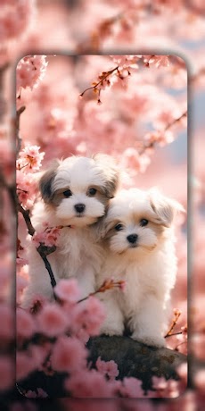 Dog Wallpapers & Cute Puppy 4Kのおすすめ画像2