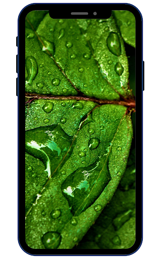 Android application Water Wallpapers screenshort