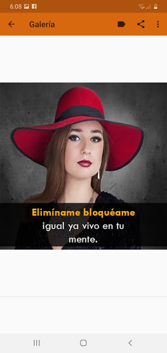 Frases Indirectas Chicas