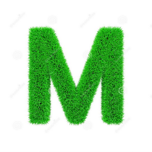 Android application Fiat money screenshort