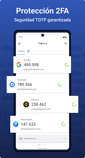 Vista previa de la aplicación