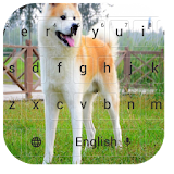 Akita Puppy Keyboard Themes icon