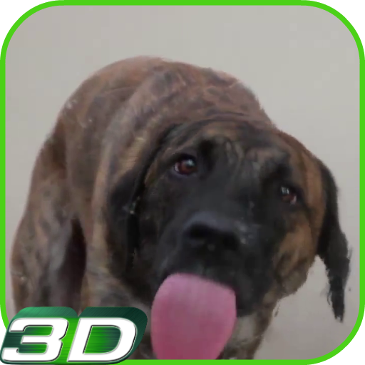 Dog Licks Screen Video LWP 2.0 Icon