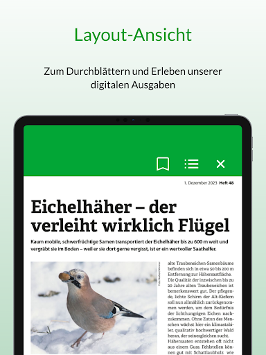 dlv Kiosk screenshot 21