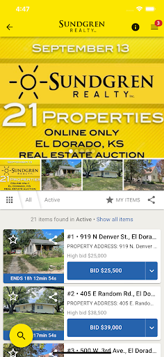 Sundgren Realty Screen 3