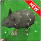 Rat for cats 2021 Download on Windows