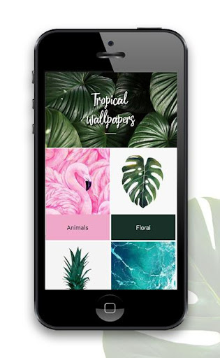 Tropical Wallpapers