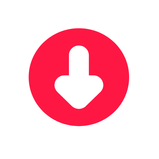 Video Downloader Download on Windows