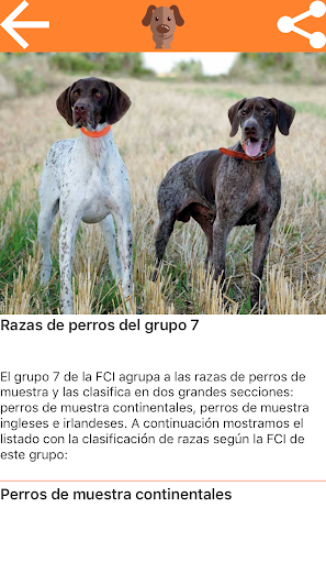 Razas de perros Screen 3