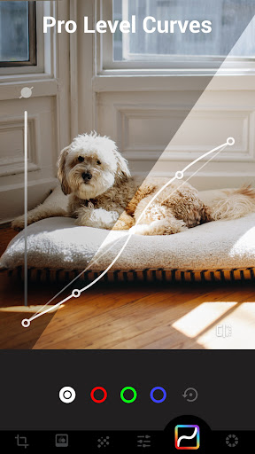 Screenshot of AI Photo Editor - Lumii