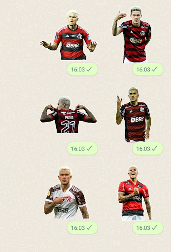 Pedro Flamengo Stickers Screen 2