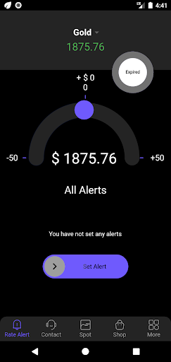 Bullionstats Lite Screen 3