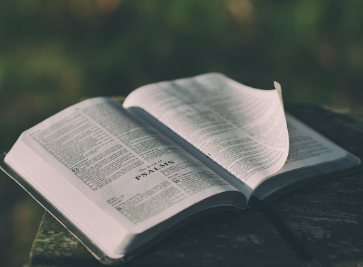 Android application The Holy Bible screenshort